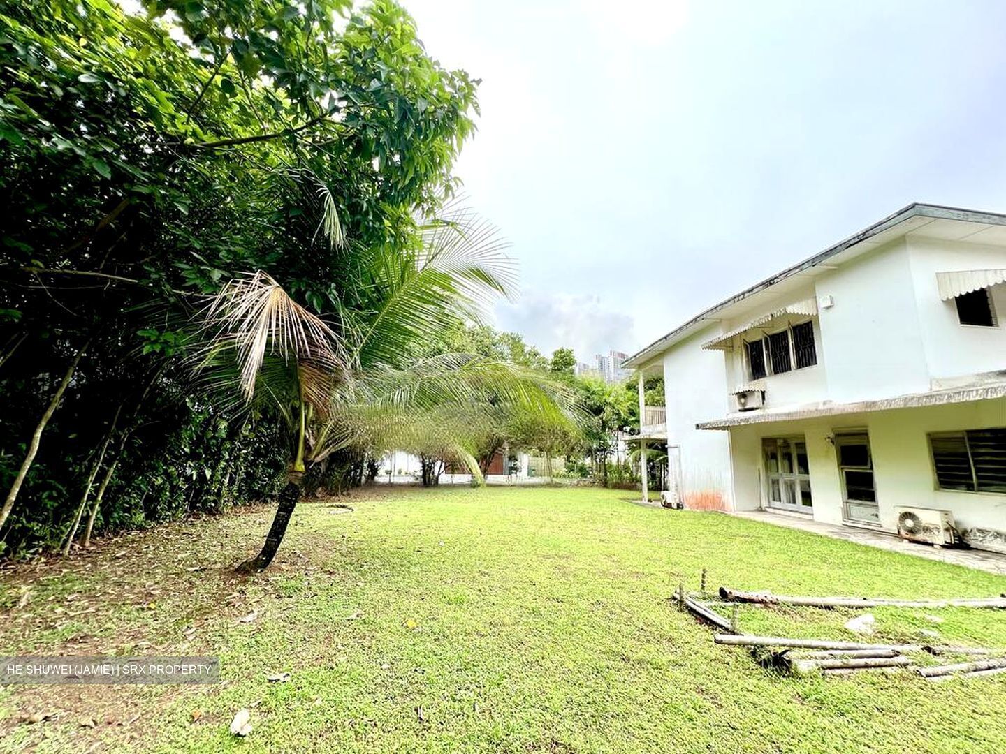 Clementi Park (D21), Detached #422355951